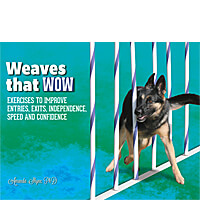 Weaves that WOW - 94 Exercises to Improve Weave Poles